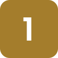 Icon 1